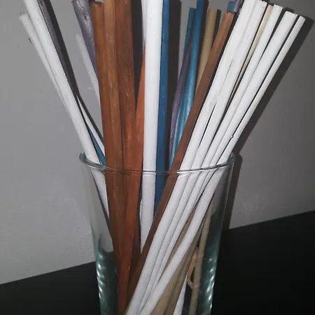 Carvalhosa Apartment