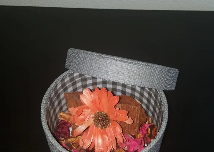 Carvalhosa Apartment Monte (Braga)